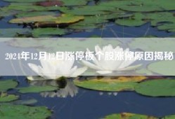 2024年12月12日涨停板个股涨停原因揭秘