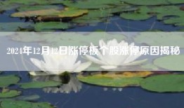 2024年12月12日涨停板个股涨停原因揭秘