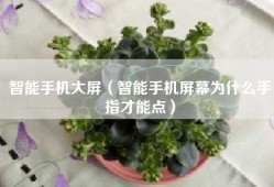智能手机大屏（智能手机屏幕为什么手指才能点）