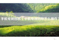 手机电视回放（手机电视回放怎么操作）