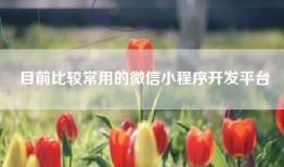 目前比较常用的微信小程序开发平台