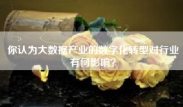 你认为大数据产业的数字化转型对行业有何影响？
