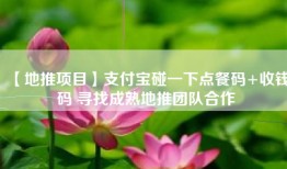 【地推项目】支付宝碰一下点餐码+收钱码 寻找成熟地推团队合作