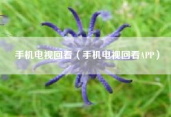 手机电视回看（手机电视回看APP）