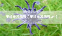 手机电视回看（手机电视回看APP）
