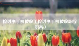 检讨书手机被收（检讨书手机被收800字职高）
