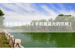 手机膜蓝光的（手机膜蓝光的作用）
