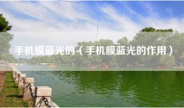 手机膜蓝光的（手机膜蓝光的作用）