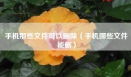 手机那些文件可以删除（手机哪些文件能删）
