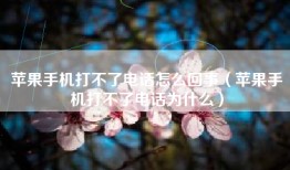 苹果手机打不了电话怎么回事（苹果手机打不了电话为什么）