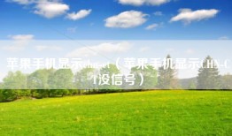 苹果手机显示chn-ct（苹果手机显示CHN-CT没信号）