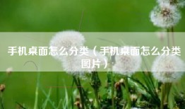 手机桌面怎么分类（手机桌面怎么分类图片）