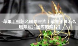 苹果手机怎么删除照片（苹果手机怎么删除照片图库的照片）