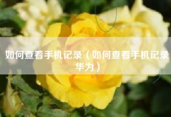 如何查看手机记录（如何查看手机记录华为）