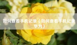 如何查看手机记录（如何查看手机记录华为）