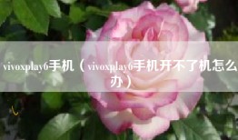 vivoxplay6手机（vivoxplay6手机开不了机怎么办）