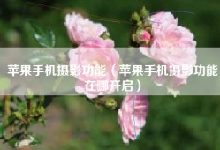 苹果手机摄影功能（苹果手机摄影功能在哪开启）