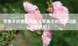 苹果手机摄影功能（苹果手机摄影功能在哪开启）