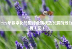 2022年数字化转型行业现状及发展前景分析（图）
