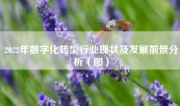 2022年数字化转型行业现状及发展前景分析（图）