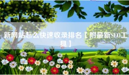 新网站怎么快速收录排名【附最新SEO工具】