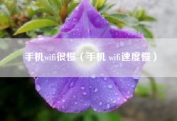 手机wifi很慢（手机 wifi速度慢）