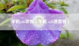 手机wifi很慢（手机 wifi速度慢）