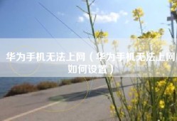 华为手机无法上网（华为手机无法上网如何设置）