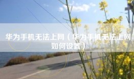 华为手机无法上网（华为手机无法上网如何设置）