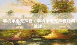 手机来电无声音（手机来电无声音如何处理）
