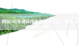 网站SEO关键词排名总是上不去，这些seo知识你需