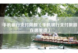 手机银行支付限额（手机银行支付限额在哪里找）