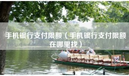 手机银行支付限额（手机银行支付限额在哪里找）