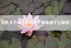 手机卡下载（手机卡下载慢是什么原因）