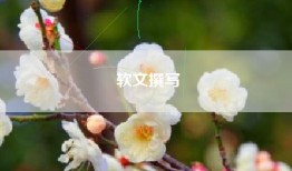 软文撰写