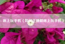 床上玩手机（如何正确躺床上玩手机）