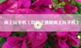 床上玩手机（如何正确躺床上玩手机）