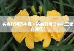 实惠好用的手机（实惠好用的手机三星有哪些）