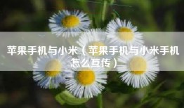 苹果手机与小米（苹果手机与小米手机怎么互传）