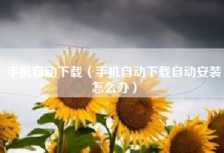 手机自动下载（手机自动下载自动安装怎么办）