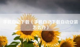 手机自动下载（手机自动下载自动安装怎么办）