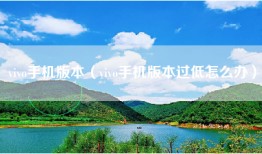 vivo手机版本（vivo手机版本过低怎么办）