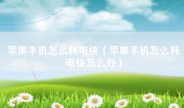 苹果手机怎么耗电快（苹果手机怎么耗电快怎么办）