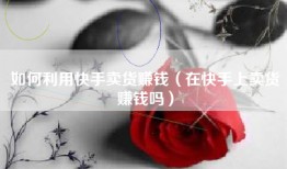 如何利用快手卖货赚钱（在快手上卖货赚钱吗）