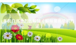 手机白名单怎么解除（解除黑名单的方法）