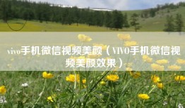 vivo手机微信视频美颜（VIVO手机微信视频美颜效果）