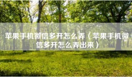 苹果手机微信多开怎么弄（苹果手机微信多开怎么弄出来）