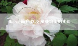 Haproxy简介 以及 负载均衡的实现