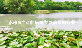 未来10个可能最具发展前景的行业