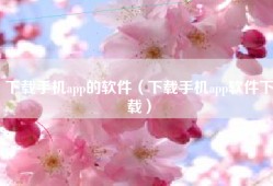 下载手机app的软件（下载手机app软件下载）